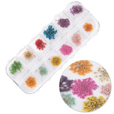 Molly Nails Сухи цветя за нокти в кутийка 24бр.