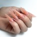 Molly Nails AcrylGel Polygel HEMA/Di-HEMA Free Pudding - Изграждащ поли гел 30ml. Molly Nails AcrylGel Polygel HEMA/Di-HEMA Free Pudding - Изграждащ поли гел 30ml.