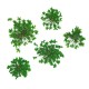 Molly Lac Dry Flower Green - Сухи цветя за декорация на нокти