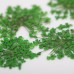Molly Lac Dry Flower Green - Сухи цветя за декорация на нокти