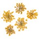 Molly Lac Dry Flower Orange - Сухи цветя за декорация на нокти