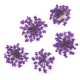 Molly Lac Dry Flower Purple - Сухи цветя за декорация на нокти